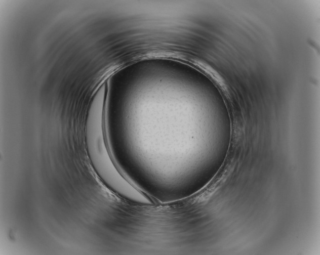 X0000096690809200803041259