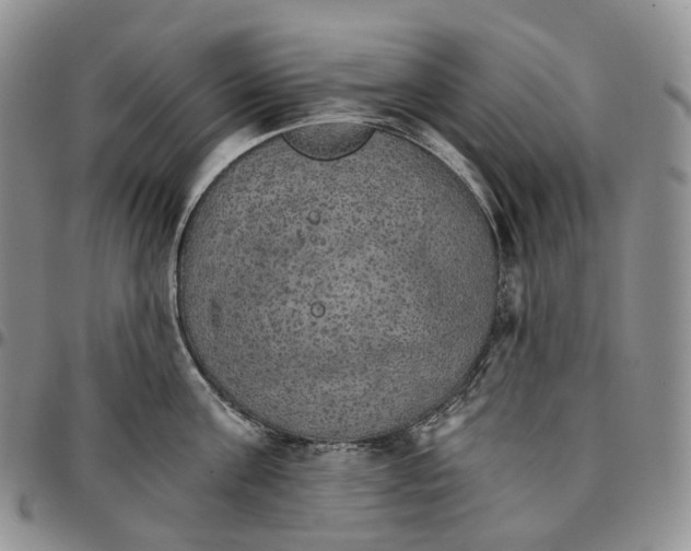 X0000096690811200803041259