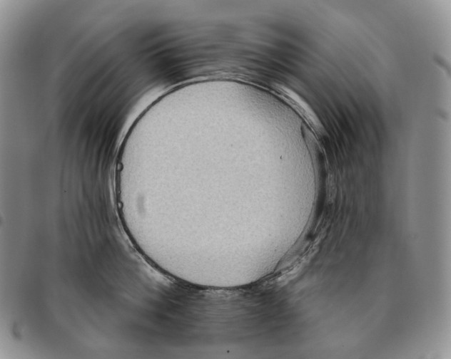 X0000096690812200803041259