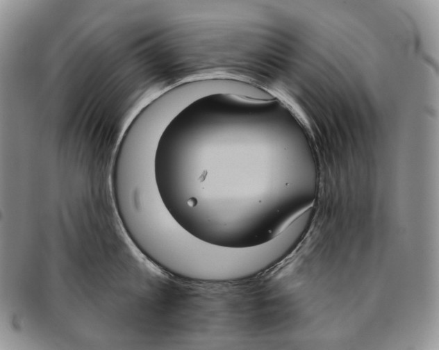 X0000096690813200803041259