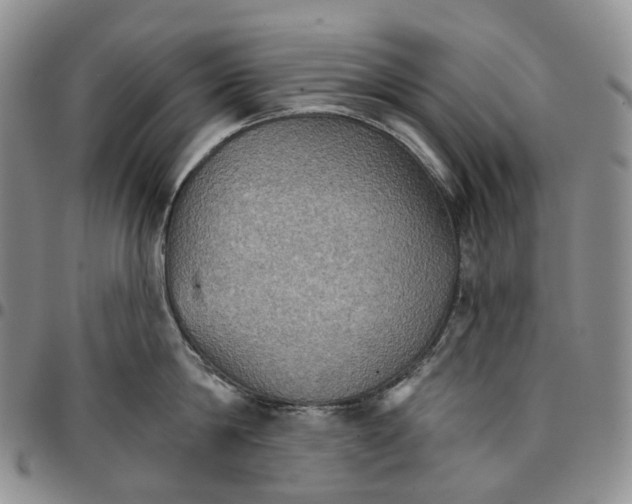 X0000096690814200803041259