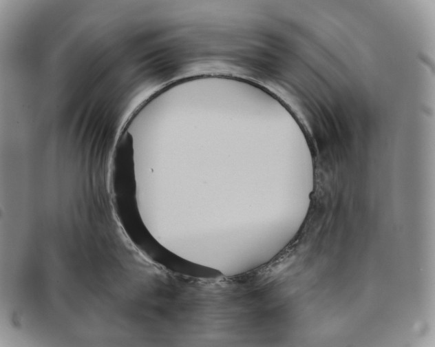 X0000096690815200803041259