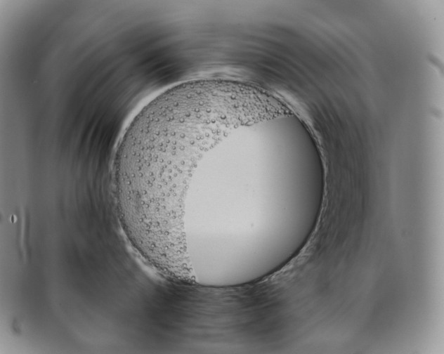 X0000096690816200803041259