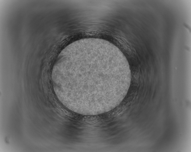 X0000096690817200803041258