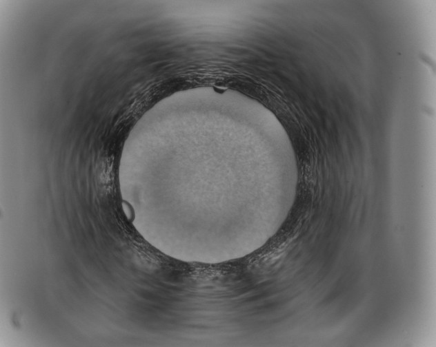 X0000096690818200803041258