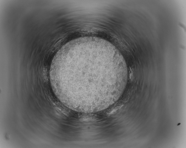 X0000096690819200803041258