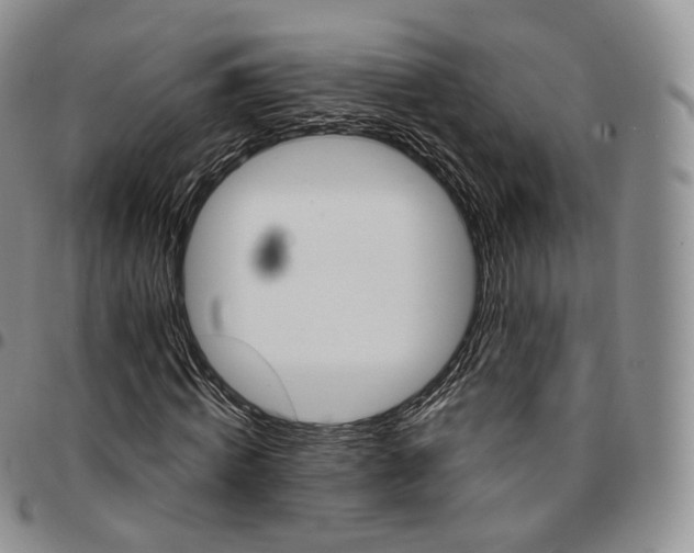 X0000096690820200803041258