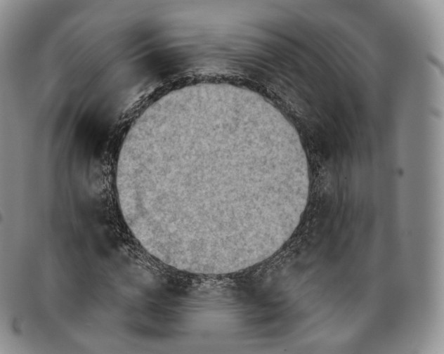 X0000096690824200803041258