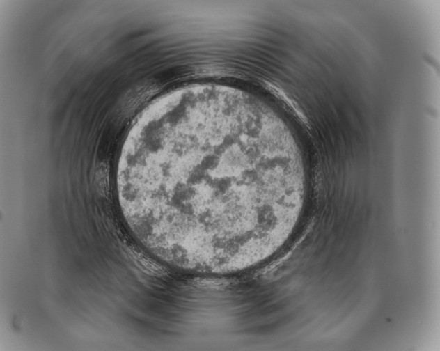 X0000096690825200803041258