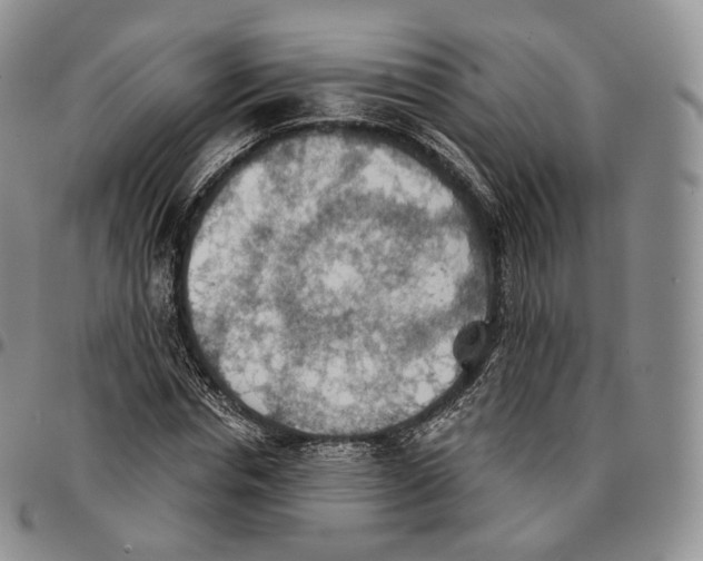 X0000096690826200803041258