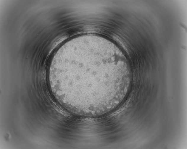 X0000096690827200803041258