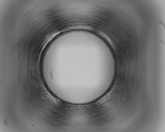 X0000096690828200803041258