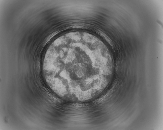 X0000096690829200803041258