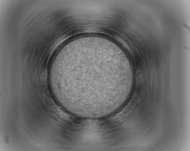 X0000096690831200803041259