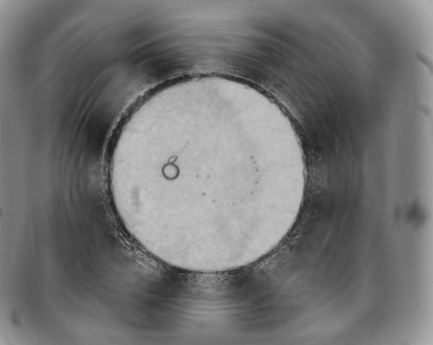 X0000096690832200803041259