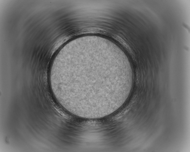 X0000096690834200803041259