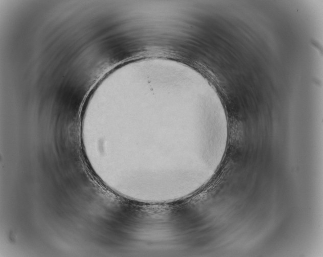 X0000096690836200803041259