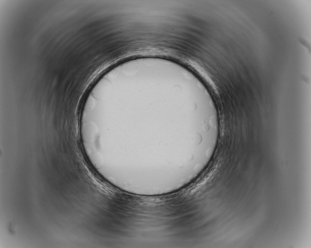 X0000096690837200803041259