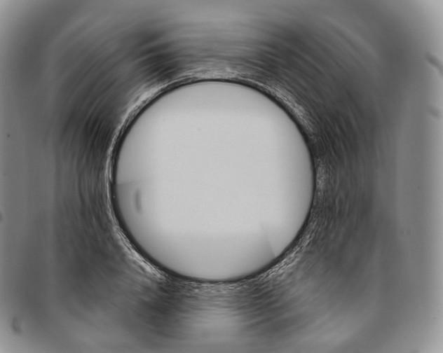 X0000096690840200803041259