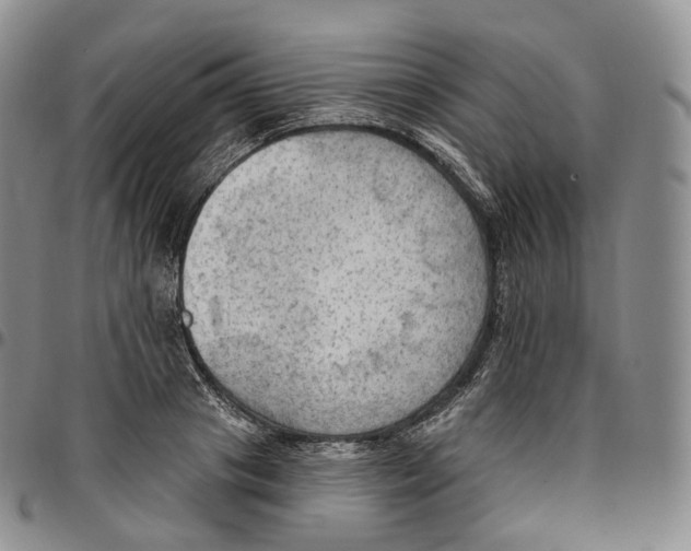 X0000096690841200803041259