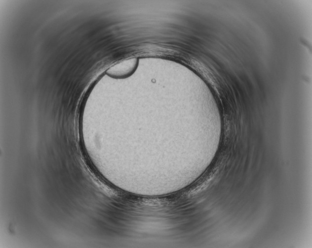 X0000096690843200803041259