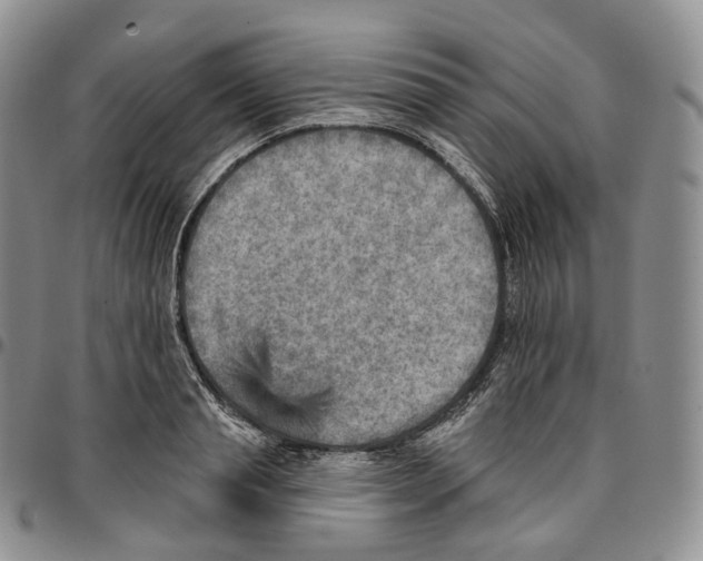 X0000096690845200803041259