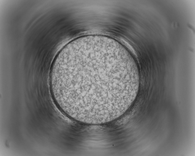 X0000096690847200803041259