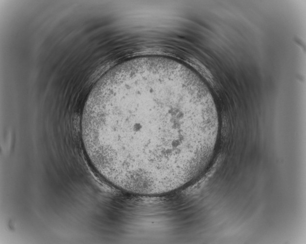 X0000096690849200803041259