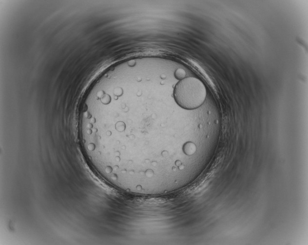 X0000096690851200803041259