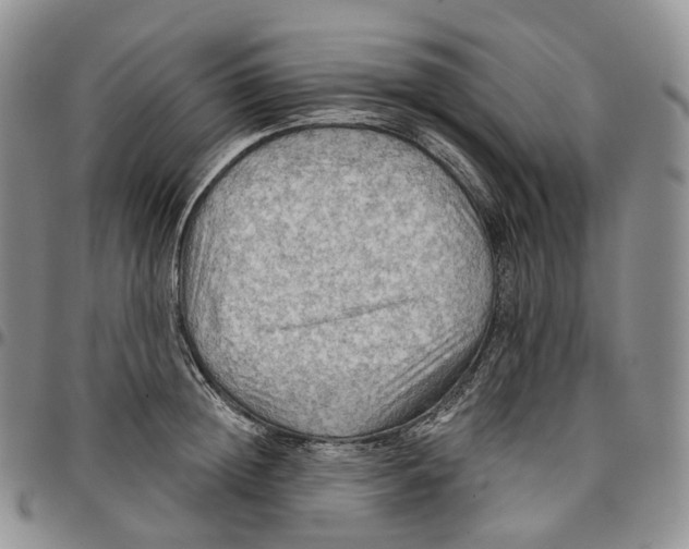 X0000096690852200803041259