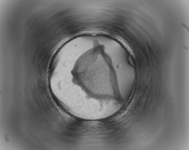 X0000096690853200803041259