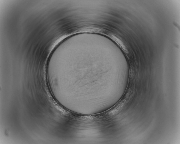 X0000096690854200803041259