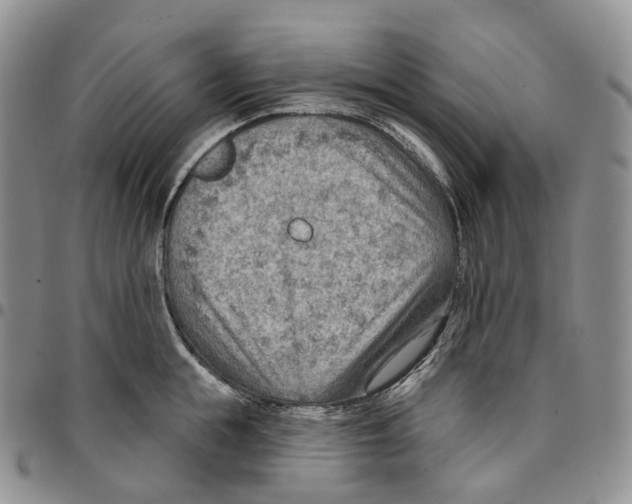 X0000096690855200803041259