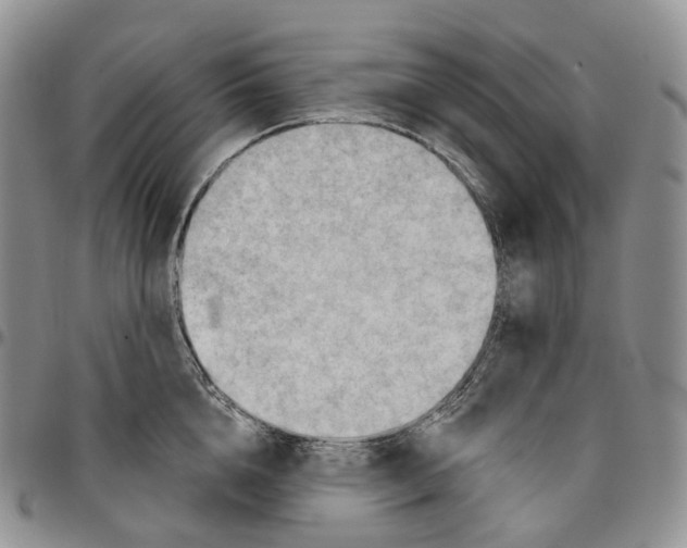 X0000096690856200803041259