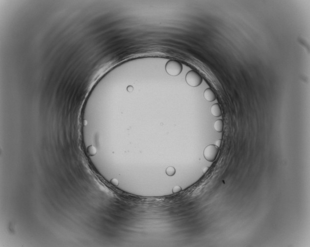 X0000096690858200803041259