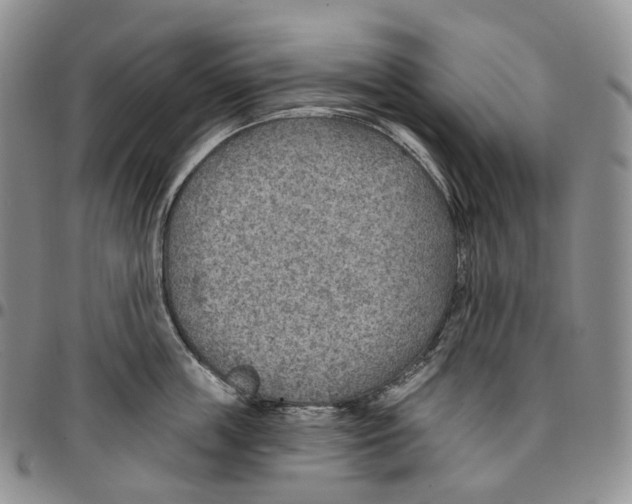 X0000096690859200803041259