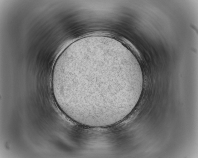 X0000096690860200803041259