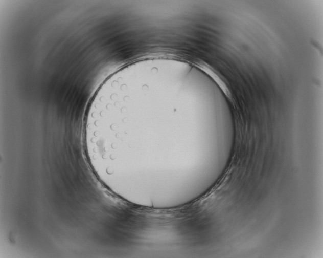 X0000096690861200803041259