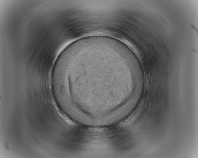 X0000096690862200803041259