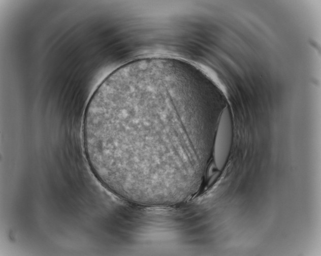 X0000096690863200803041259