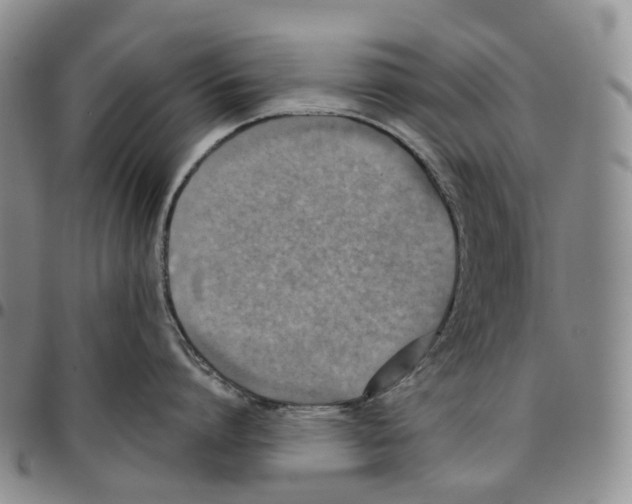 X0000096690864200803041259