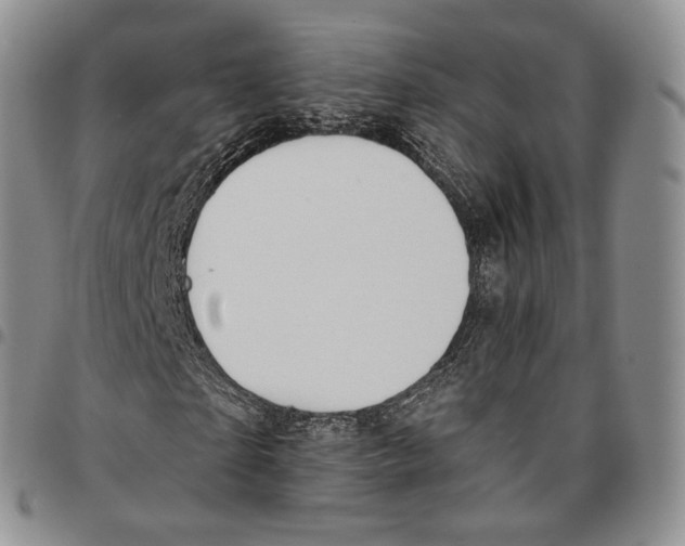 X0000096690865200803041258