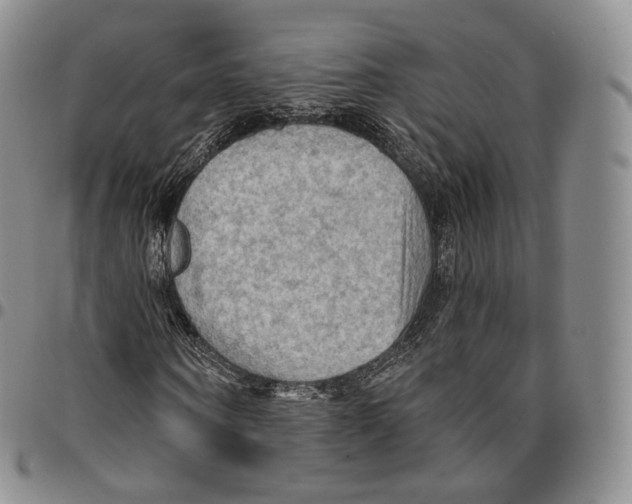 X0000096690866200803041258