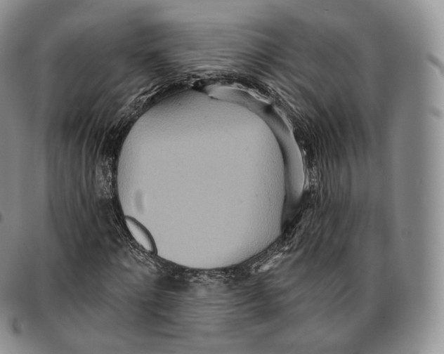 X0000096690868200803041258