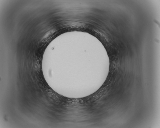 X0000096690869200803041258