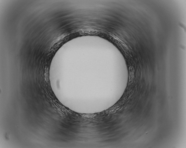 X0000096690870200803041258