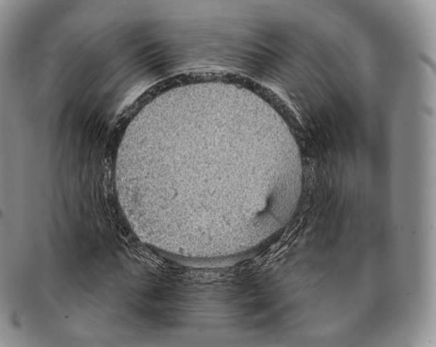 X0000096690871200803041258