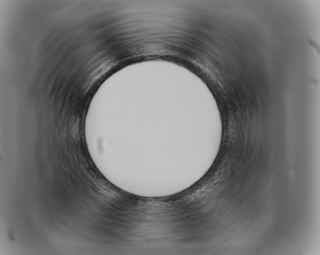 X0000096690873200803041258