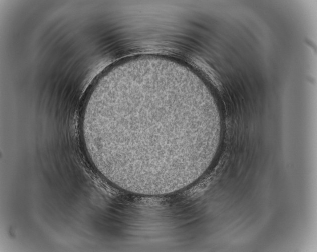 X0000096690875200803041258