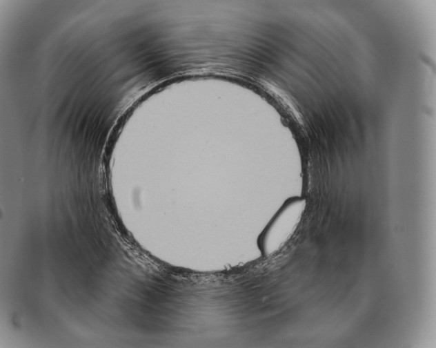 X0000096690876200803041258